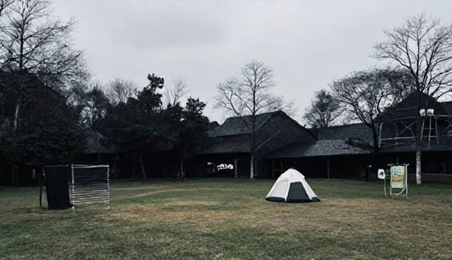 系统集成：软件开发中的应用场景分析